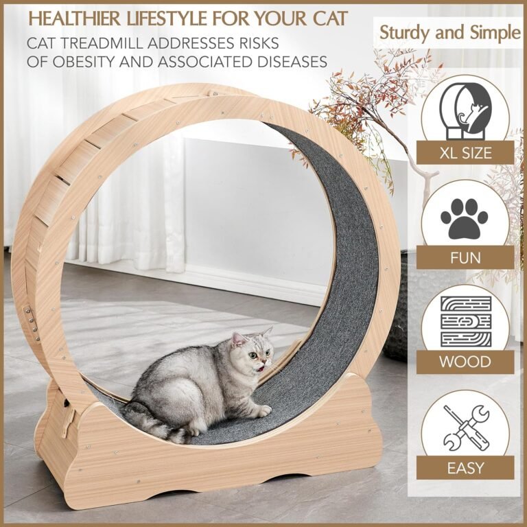 cat exercise wheel treadmill review