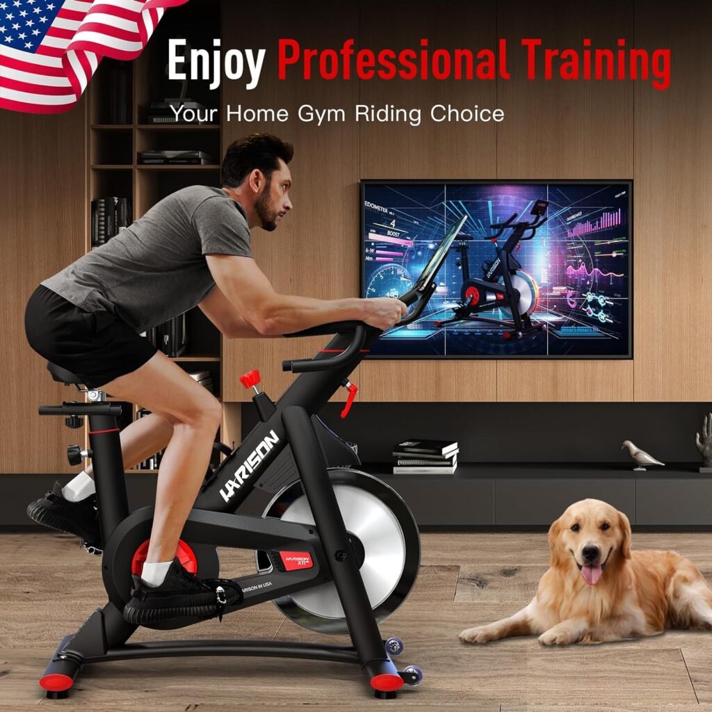 HARISON Exercise Bike for Home Bluetooth Magnetic Stationary Bike, Indoor Cycling Workout Bike with Comfortable Seat  iPad Holder, 350lbs Weight Capacity