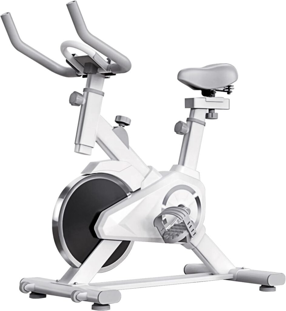 HYCHIKA Exercise Bike Magnetic Resistance, Indoor Cycling Bike Stationary Bike for Home