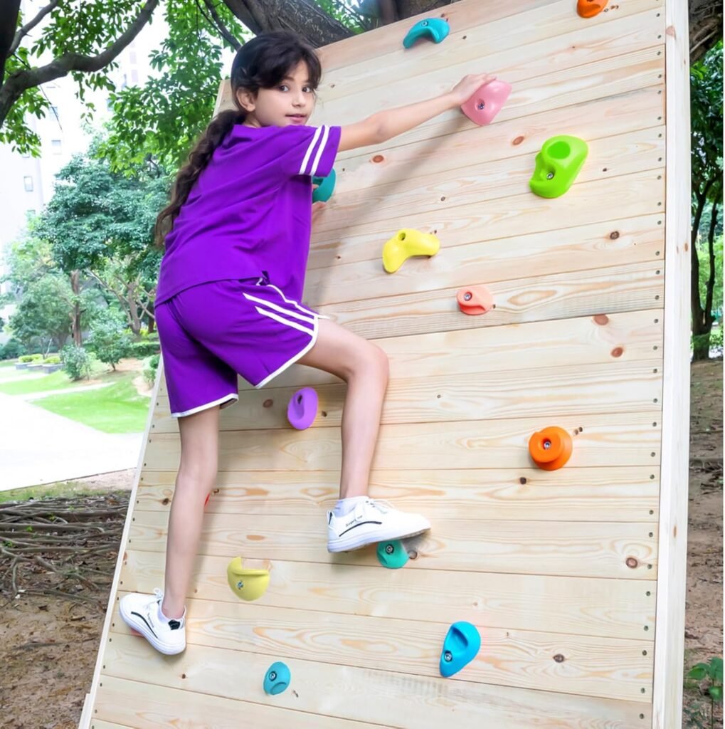 TOPNEW 32 Rock Climbing Holds Multi Size for Kids, Adult Rock Wall Holds Climbing Rock Wall Grips for Indoor and Outdoor Playground Play Set